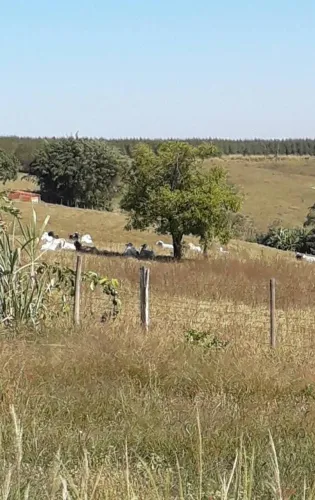 VENDE-SE CHÁCARA PIRACICABA
