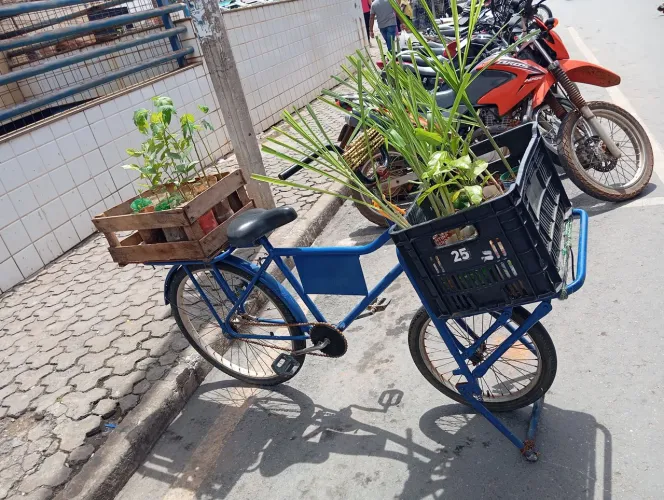 Bicicleta Cargueira pronta para trabalhar