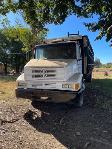 Caminhão Boiadeiro MB L 1418