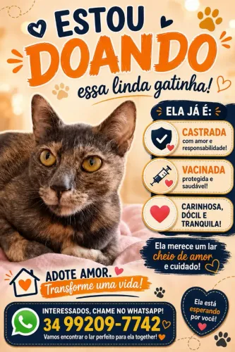 Doa se essa linda gatinha 