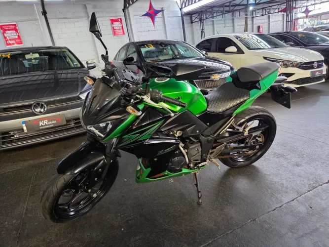 Z 300 Z-300 2016 VERDE 2015/2016