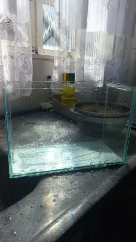 Aquário de 5 litros para seu pequeno amigo