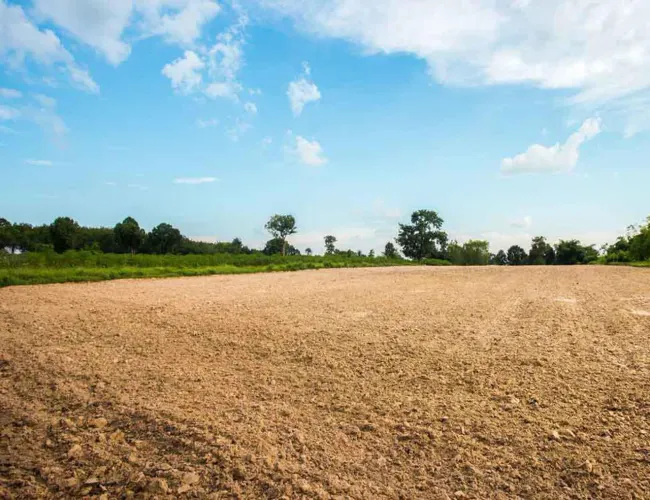 Lote em Sapeaçu 