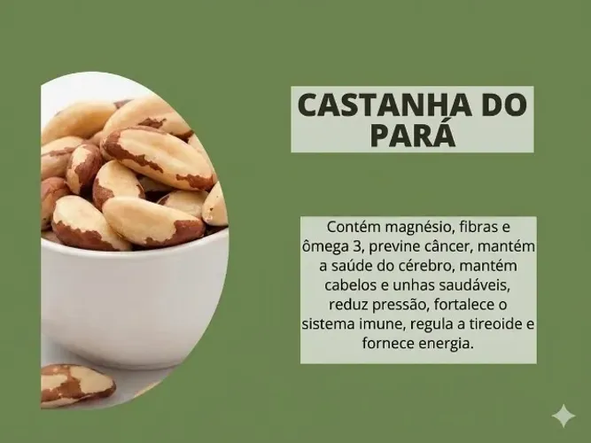 Castanha do Pará
