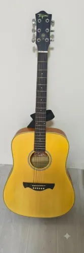 Violão Tagima Aço TW25