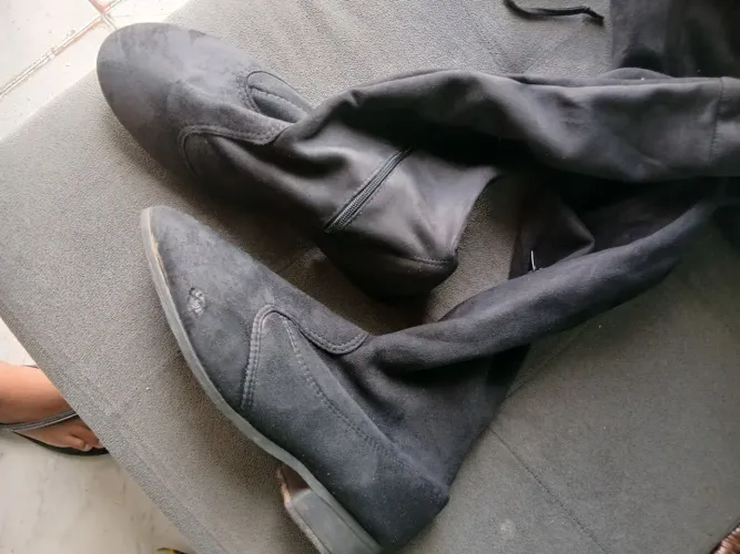Bota