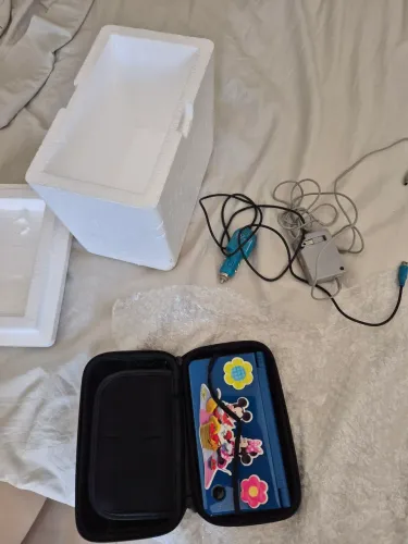 Nintendo dsi