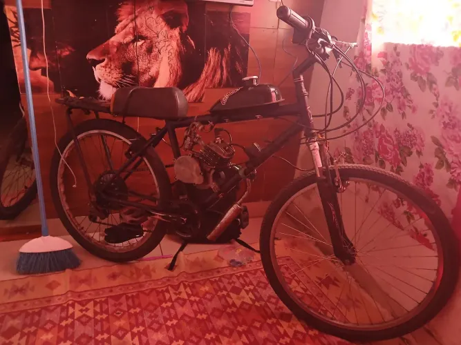 Bicicleta motorizada