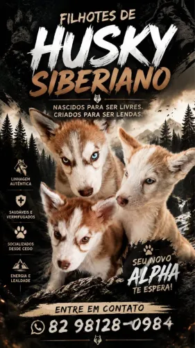 Cachorro husky siberiano