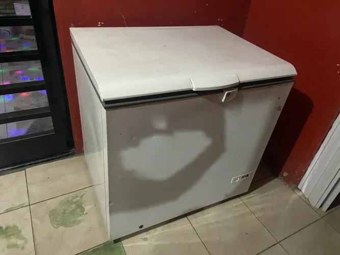 Freezer horizontal