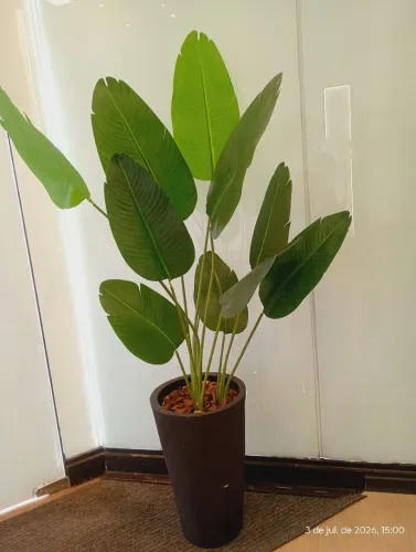 Vendo vaso decoração Ambiente