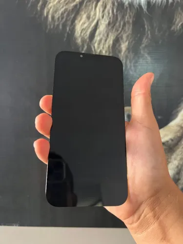 Tela iPhone 13 pro Max original
