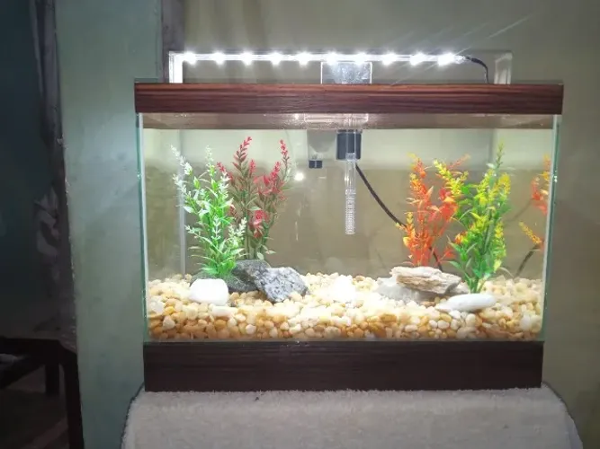 Lindo Aquário Novo e Completo 20 litros
