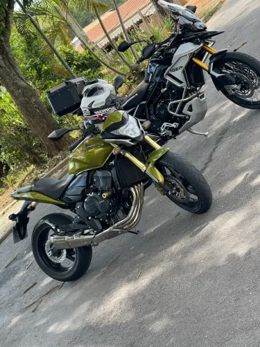 Hornet 2012