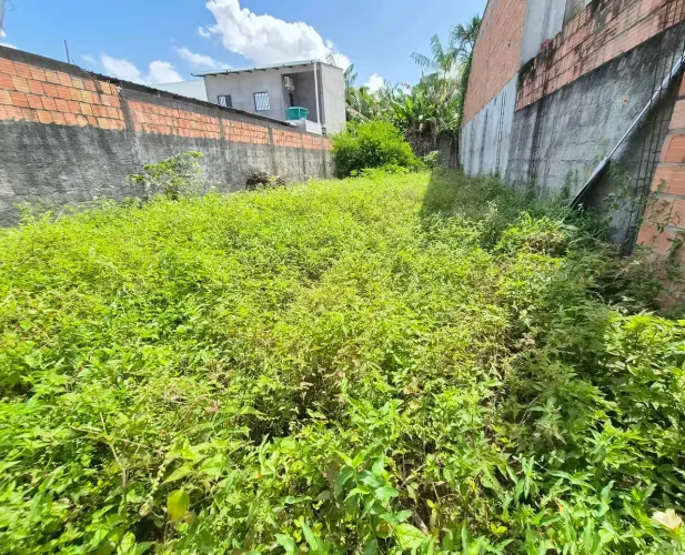 NOVO ALEIXO, Terreno