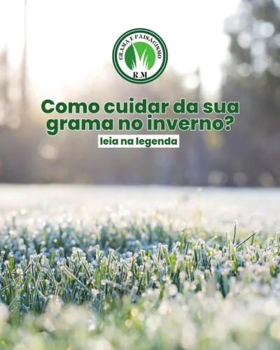 108 Metros de Grama Batatais Melhor Preço 108 Metros de Grama Batatais Melhor Preço