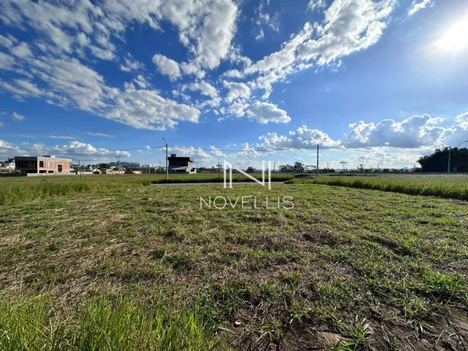 Terreno à venda - Galo Branco - São José dos Campos/SP