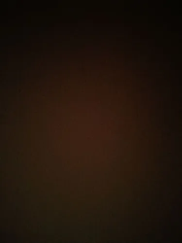 5 pintinhos garnizé, para alguém que já tenha galinha.