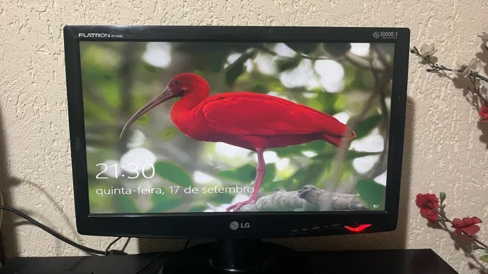 Monitor LG 18,5