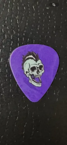 Avenged Sevenfold Palheta Johnny Christ Turnê LIFE IS BUT A DREAM São Paulo 2025 ( ROXO) 