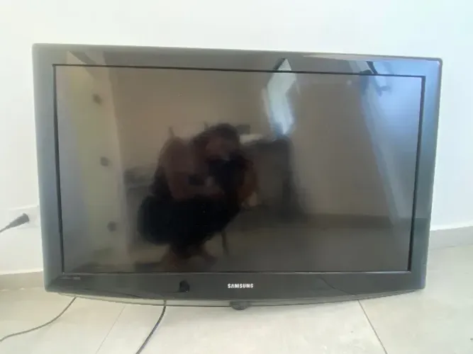 Televisão 