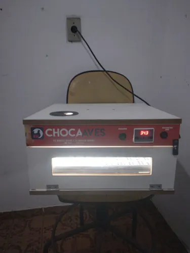 Chocadeira 