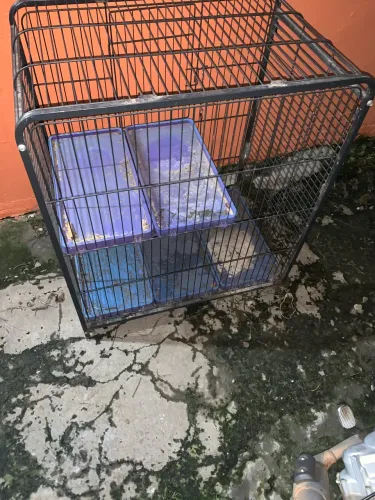 Gaiola de coelho, bom estado só dar uma lavada, falta umas partes