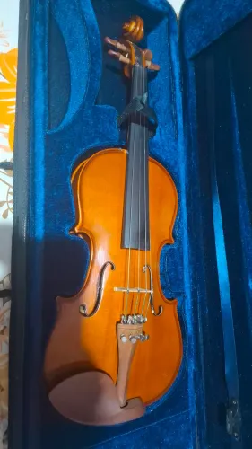 Violino eagle ve 441 seminovo