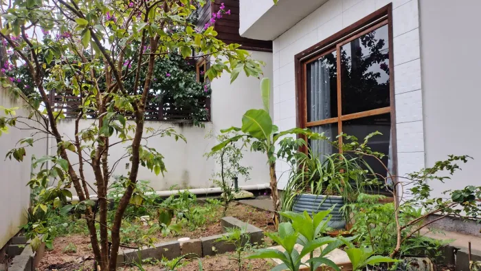 Casa 1 quarto Alto Ribeirão 86m² (com área externa coberta)