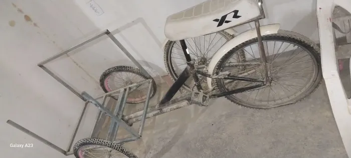 Bicicleta triciclo