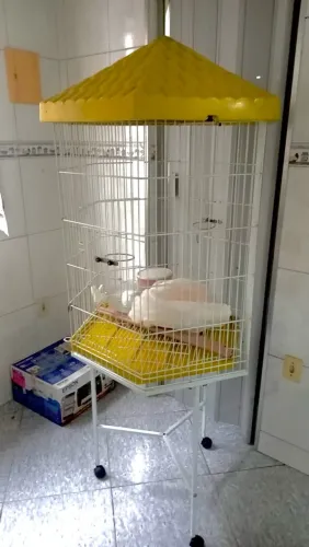 Vendo viveiro semi novo!