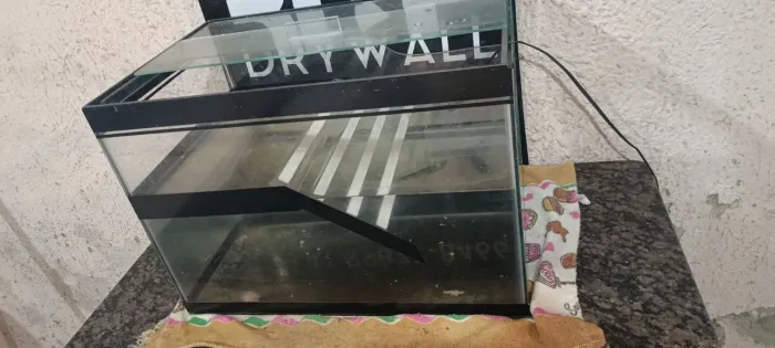 terraquario usado