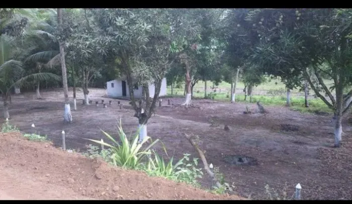SITIO À VENDA PELO PROPRIETÁRIO ILHUES/BA.