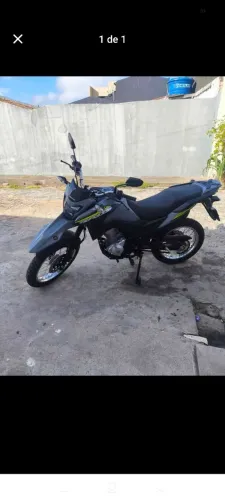 Lagarto-Se