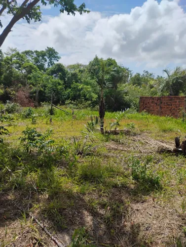 Terra disponíveis no iguaiba atrás da engarrafadora de água mineral mar doce