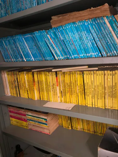 Coleção livros bolso FBI e HORA H