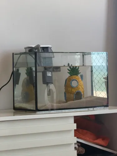 Aquário 18L