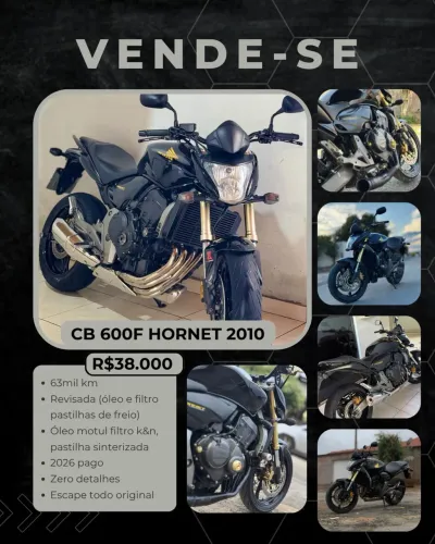 Hornet 600