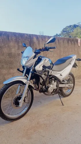 Falcon 2008
