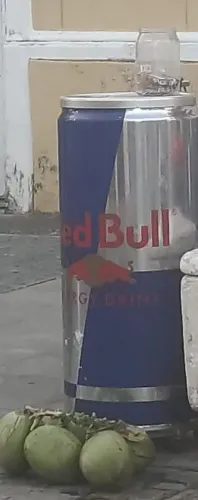 Frezer red bull