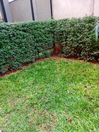 Serviços de jardinagem 