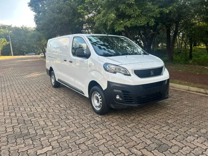Peugeot Expert Cargo 1.5 Turbo Diesel 2024