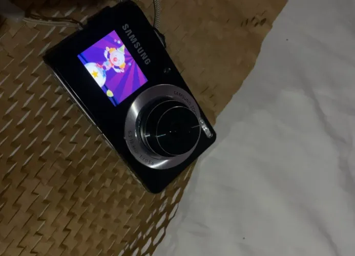 Samsung pl100