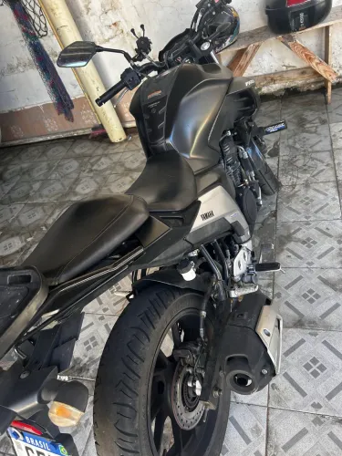 Fz25 2023 