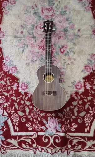 Ukulele Concert Shelby 
