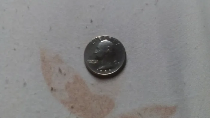 Moeda Quarter  Dollar 1985