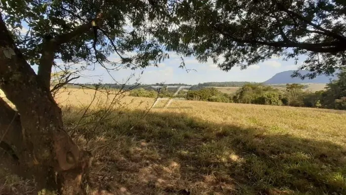 Chácara na área Rural de Ipeúna à venda