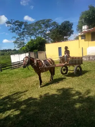 Carroça completa c/arreata 