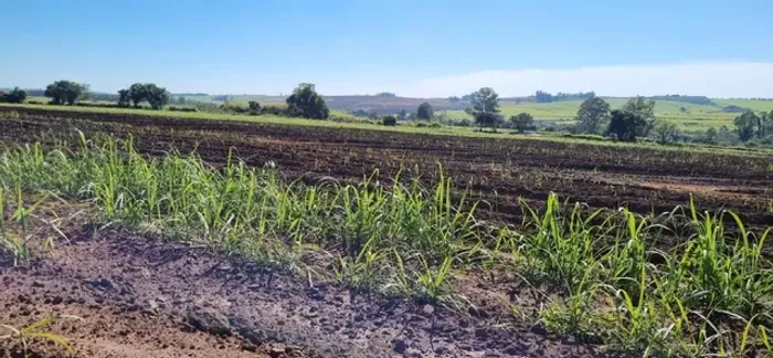 Sítio à venda, Teixeira - São Pedro/SP