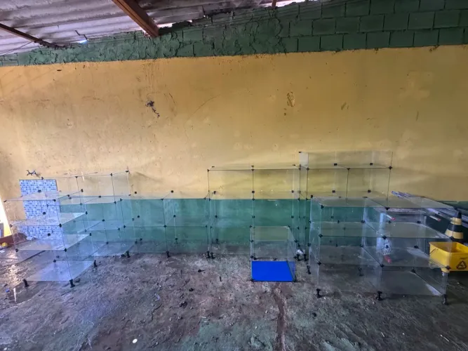 7 prateleiras de vidro modular